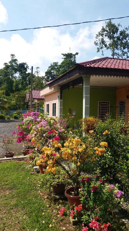 Dhia Irdina Homestay Paya Rewak Екстериор снимка